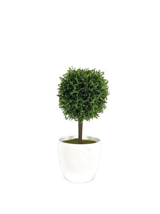 Little Topiary BF012-GREEN