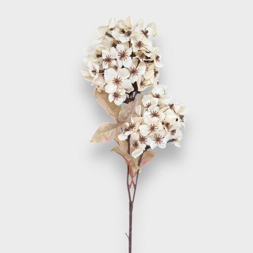 Cone Hydrangea AL040-CR