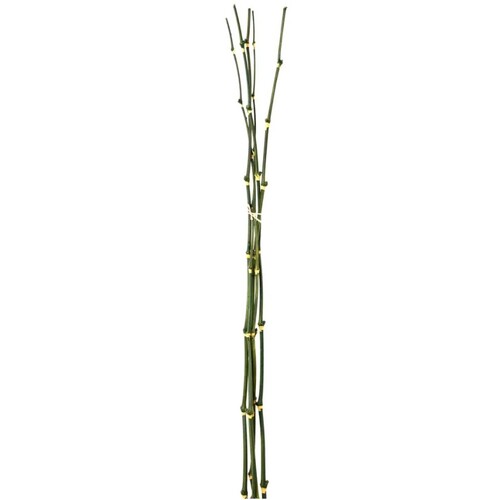 Bamboo Bundle B027GR