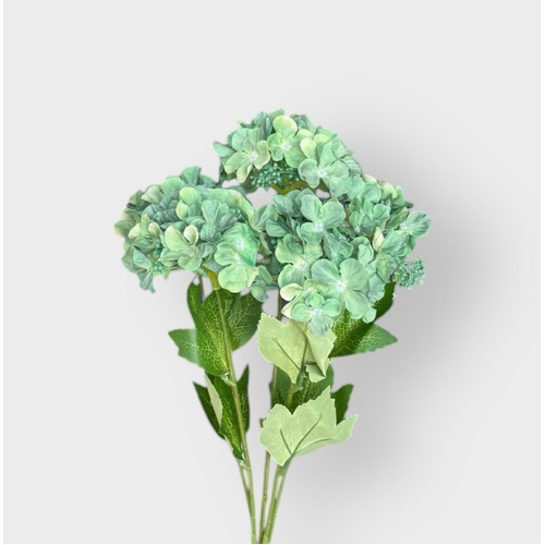 5H HYDRANGEA BUSH BQ165W-GRN