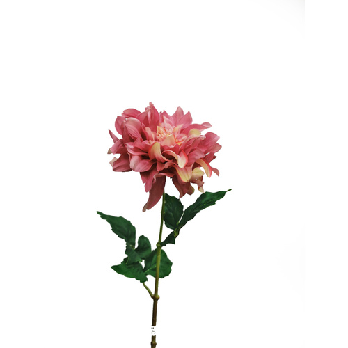 Large Dahlia w/curl petals FB0118-DPNK