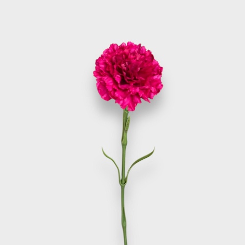 Real Touch Carnation Single FB0151-BUR