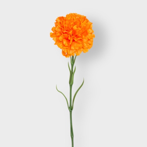 Real Touch Carnation Single FB0151-HERMESOR