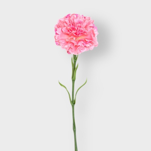 Real Touch Carnation Single FB0151-PCH