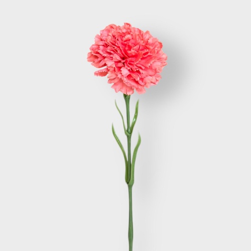 Real Touch Carnation Single FB0151-PUROR