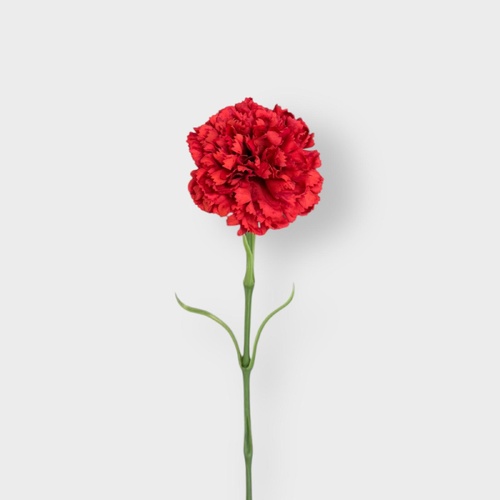 Real Touch Carnation Single FB0151-RD