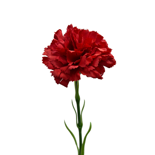 Real Touch Carnation Single FB0151-RD