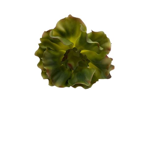 Succulent FB0164-GRN