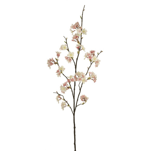 Cherry Blossom Branch FI0168CP