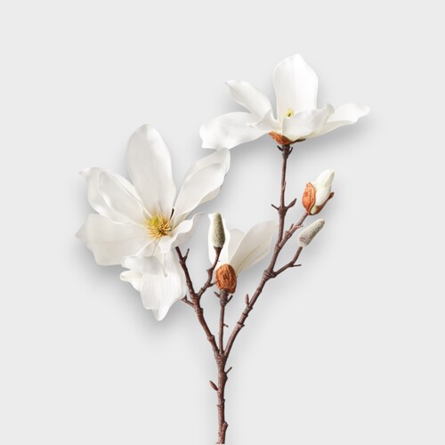 Magnolia Japanese Spray FI10545WH