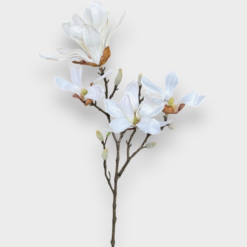 Magnolia Japanese Spray FI8746WH