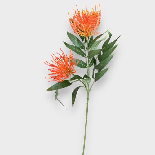 Grevillea Spray FI9237OR