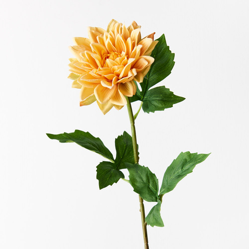 RT DAHLIA Medium FI9422YE