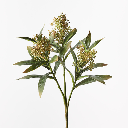 Skimmia Spray FI9994GRY