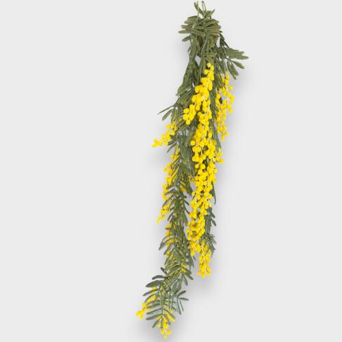 Hanging Wattle Bush GR289YEL