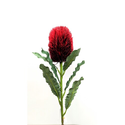 Banksia HF1277RED