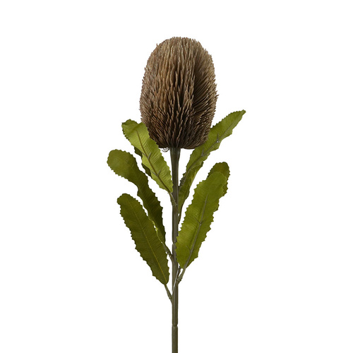Faux Dried Banksia HF1385BR