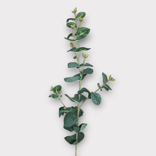 Eucalyptus Stem HF1581D-GRN