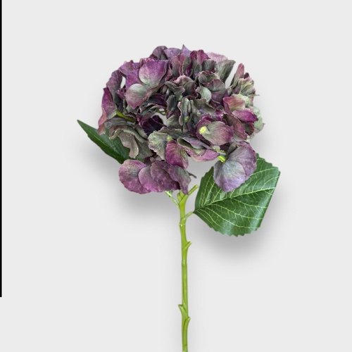 HYDRANGEA HF1791G-BUR