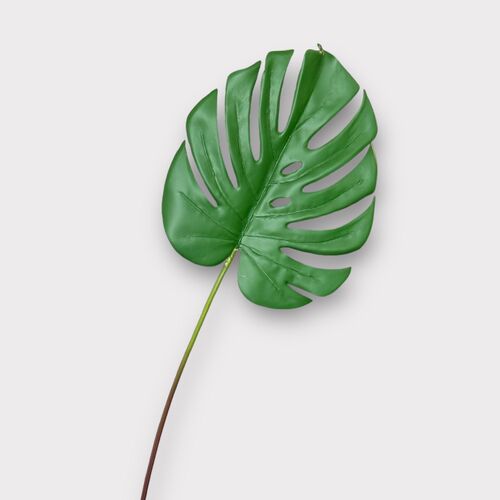 MEDIUM MONSTERA HF1864GRN-M