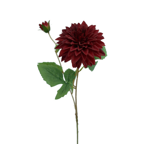 Single Dahlia Silk HF1881RED