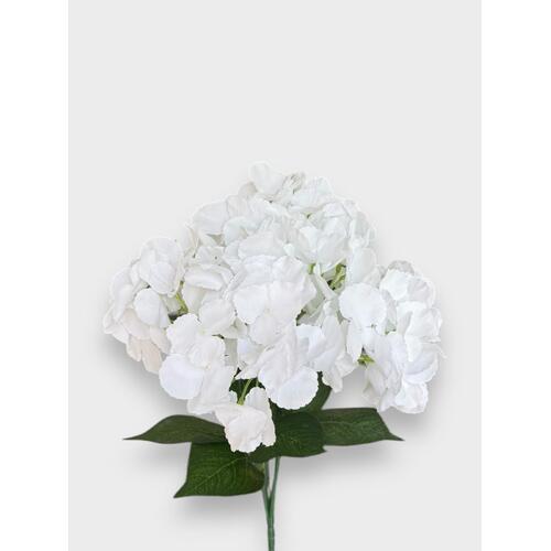 Hydrangea Bunch HF1996WHT