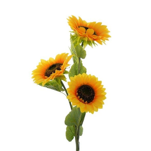 Extra Large Sunflower x 3 heads HF2905