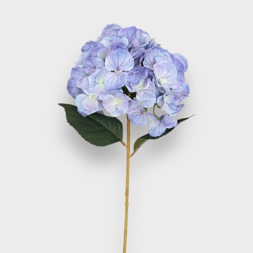 Single Stem Hydrangea HF5024BLU