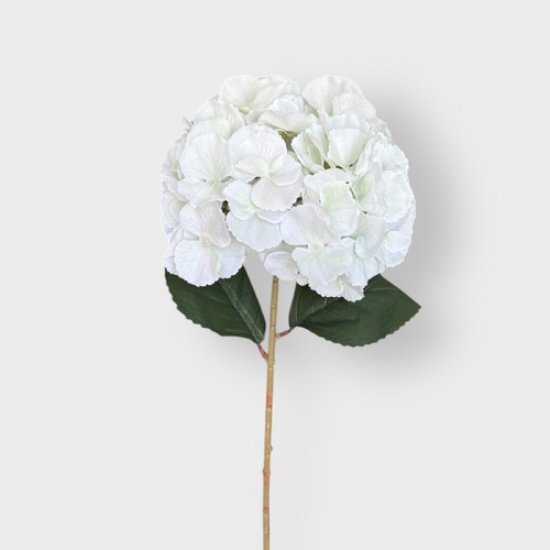 Single Stem Hydrangea HF5024CRM