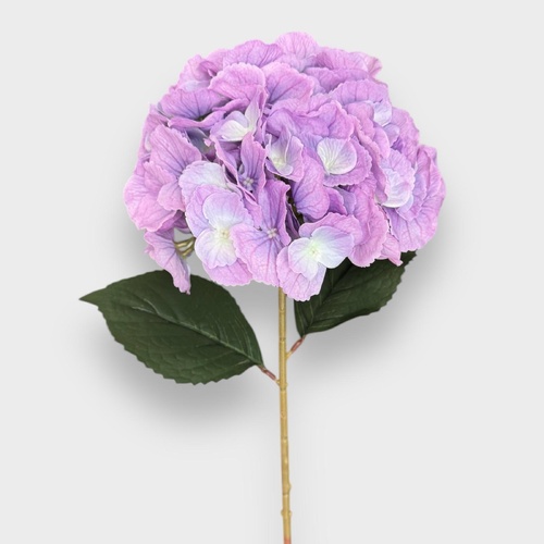 Single Stem Hydrangea HF5024PUR