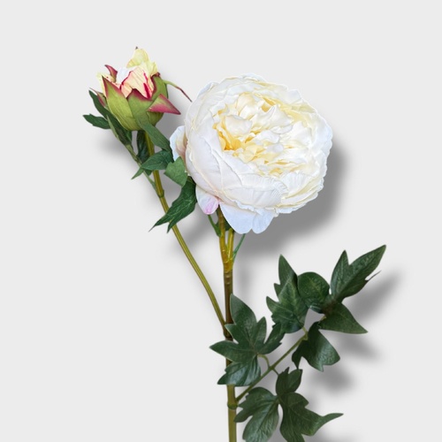 Peony Bud HU0034-WHT