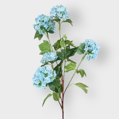 Snowball Hydrangea HU0038-LB