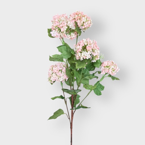 Snow Hydrangea HU0038-LP