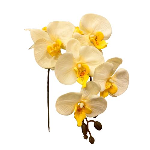 Silk Phalaenopsis Orchid LB0041-CRYE
