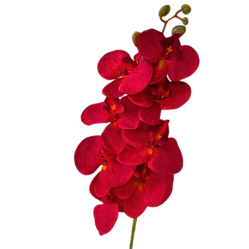 Silk Red Phalaenopsis Orchid LB0041-RED