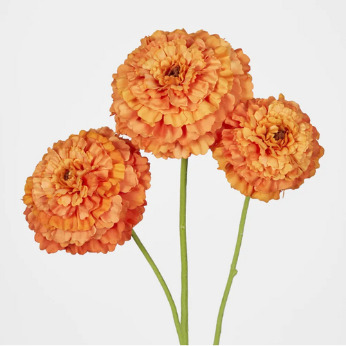 Marigold Spray M129OR