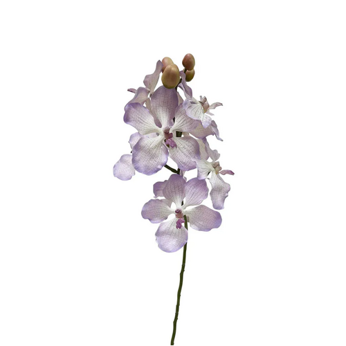 Dendrobium Orchid Spray O128LP