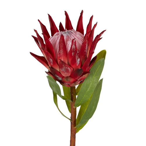 Protea King P212R