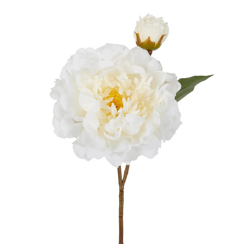 Large peony white P92WH