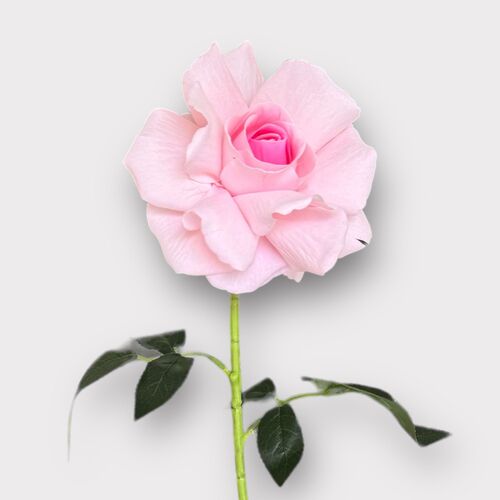 Single Velvet Rose QD0001-APK