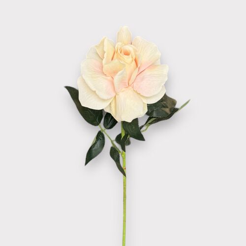 Single Velvet Rose QD0001-LAT