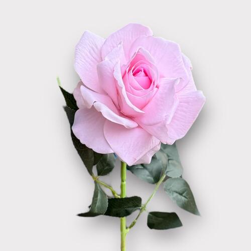 Single Velvet Rose QD0001-LPK