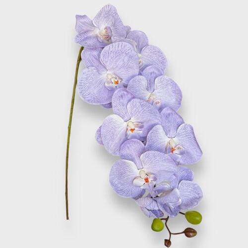 Silk Phalaenopsis Orchid QD0021-LAV