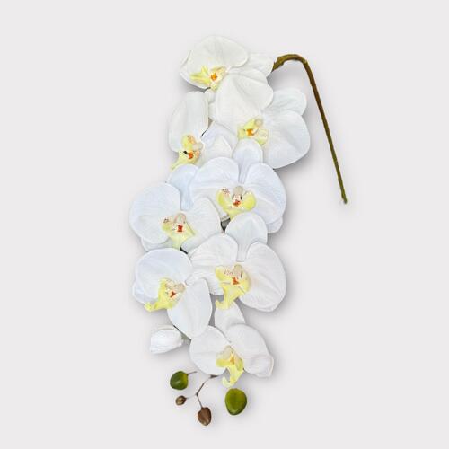 Silk Phalaenopsis Orchid QD0021-WHT