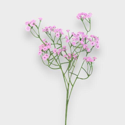 Baby's breath QD0022-LAV