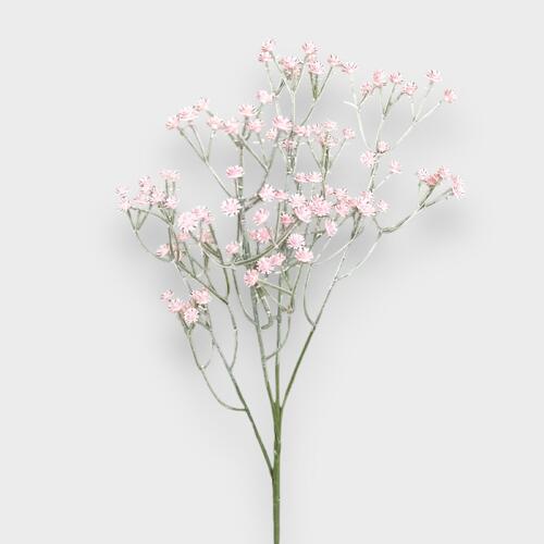 Baby's breath QD0022-LPNK