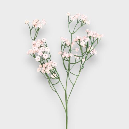 Baby's breath QD0022-PCH