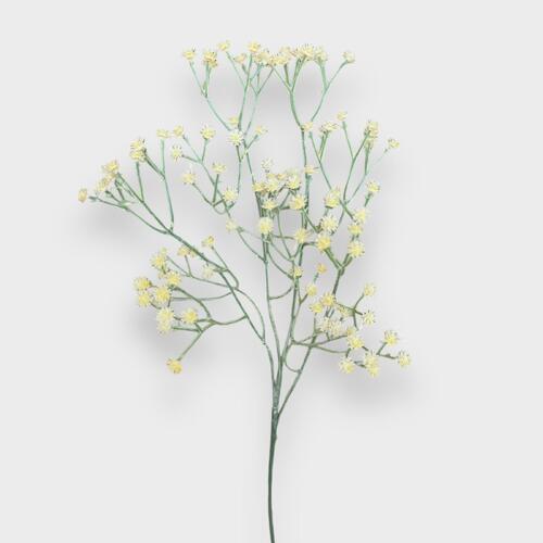 Baby's breath QD0022L-IV