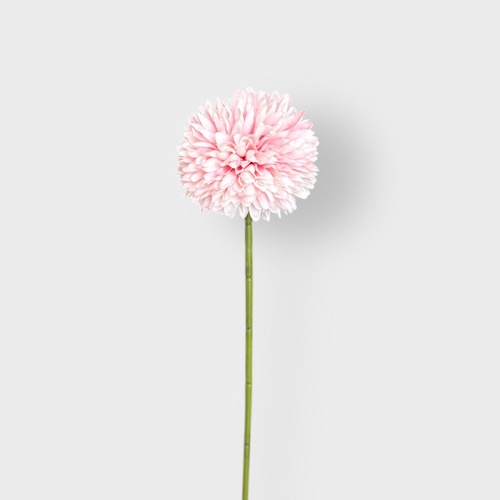 Mini Chrysanthemum QD0031-LP