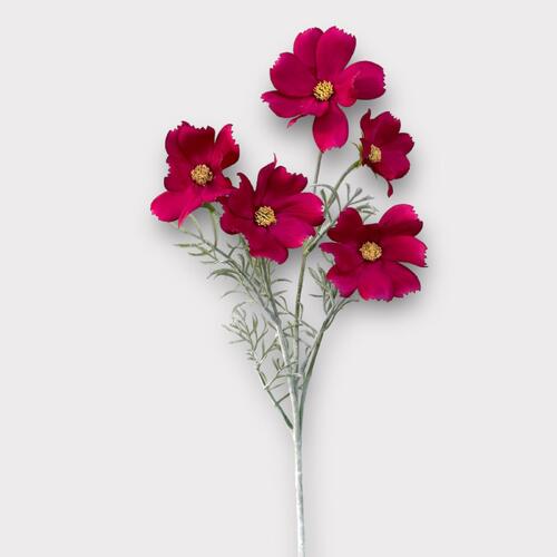 Cosmos Spray QD0033-FU